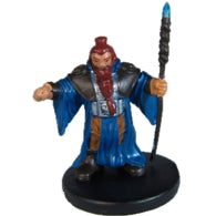 Shield Dwarf Wizard (Rage of Demons) - (8)